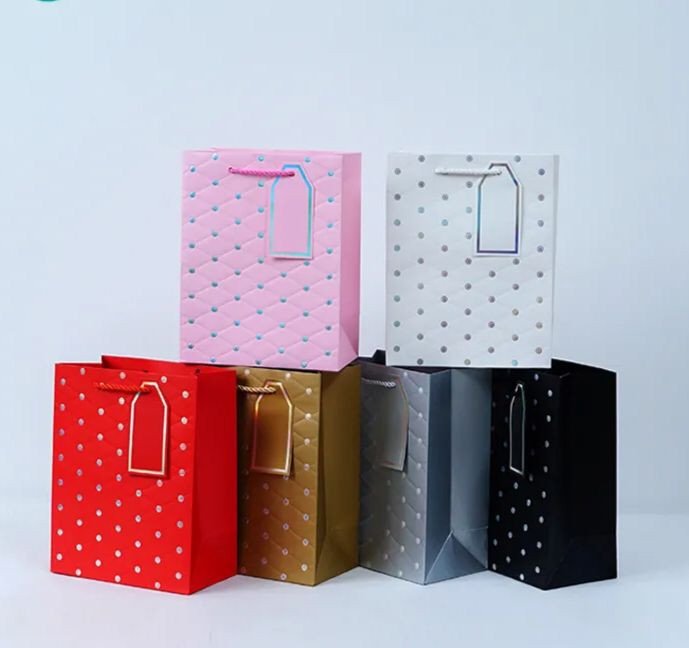 Sac a Main pour Cadeau (6 nice Colors)